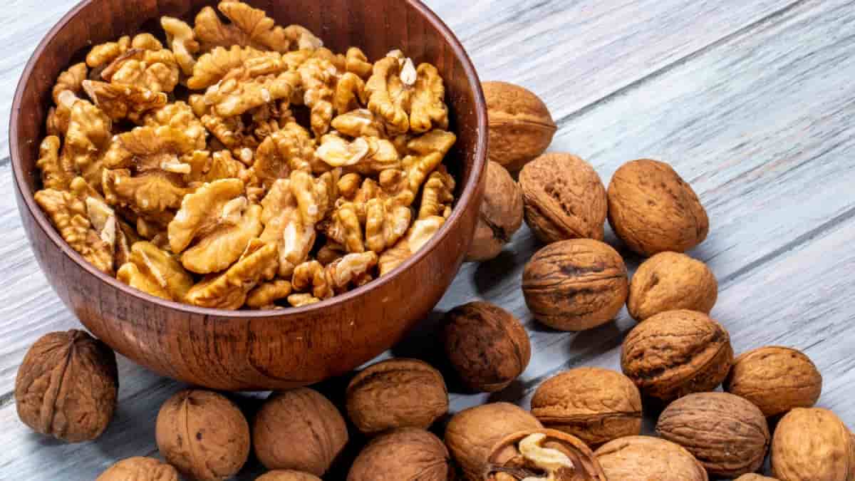 گردو تویسرکان امسال با تازگی بی نظیر و مغز سفید